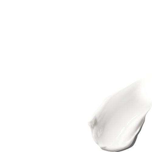 <p>The Moisturizing<br>
Soft Cream</p>